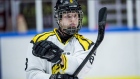 Photo: Brynas, License: N/A Victor Soderstrom